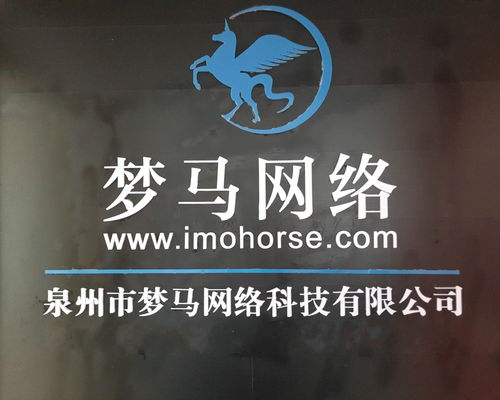 泉州夢馬網絡科技 驅動數字未來的新興力量